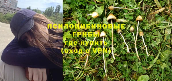 соль курить ск Медвежьегорск